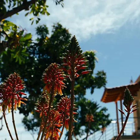 게스트하우스 Sunset Serenity 히마레