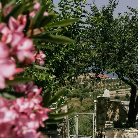 Sunset Serenity 게스트하우스 히마레