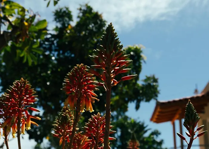 Gæstehus Sunset Serenity Himarë